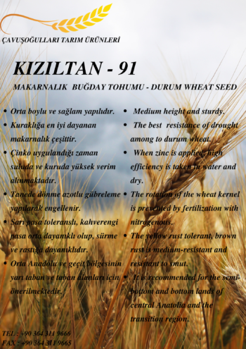 KIZILTAN - 91