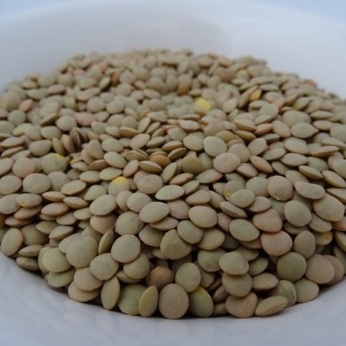 green lentil