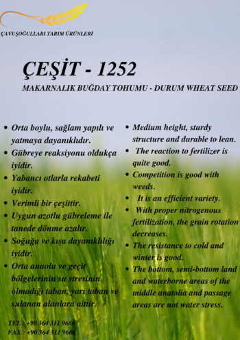 ÇEŞİT-1252